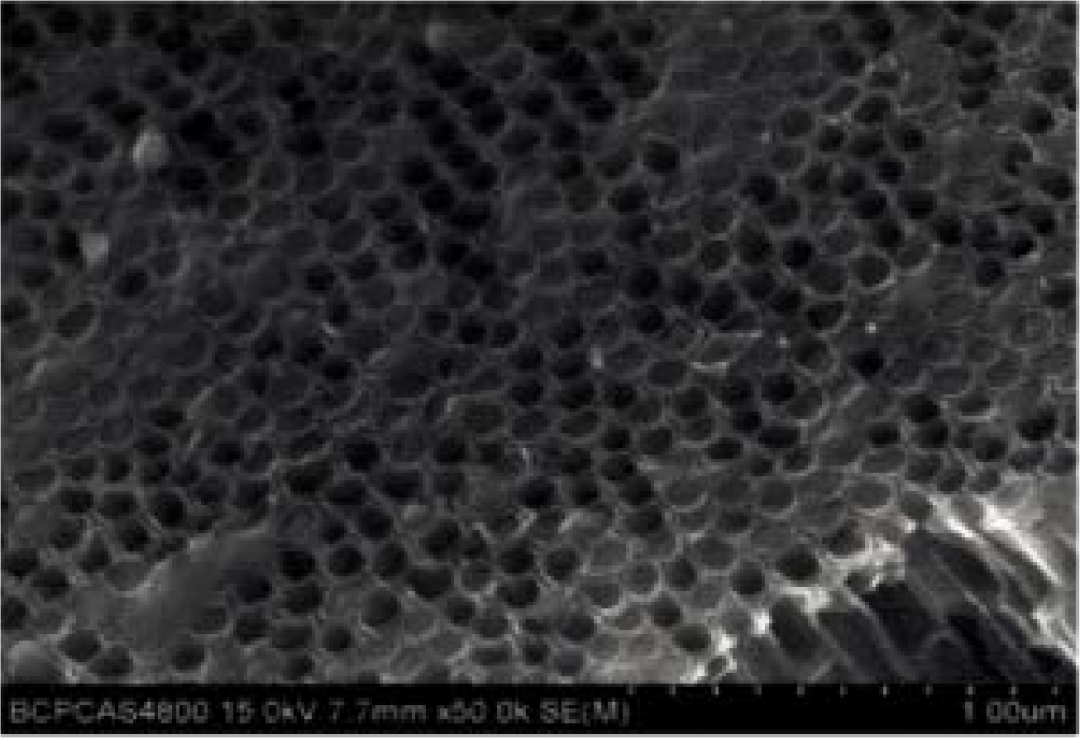 从专利看柔性钙钛矿太阳电池发展方向