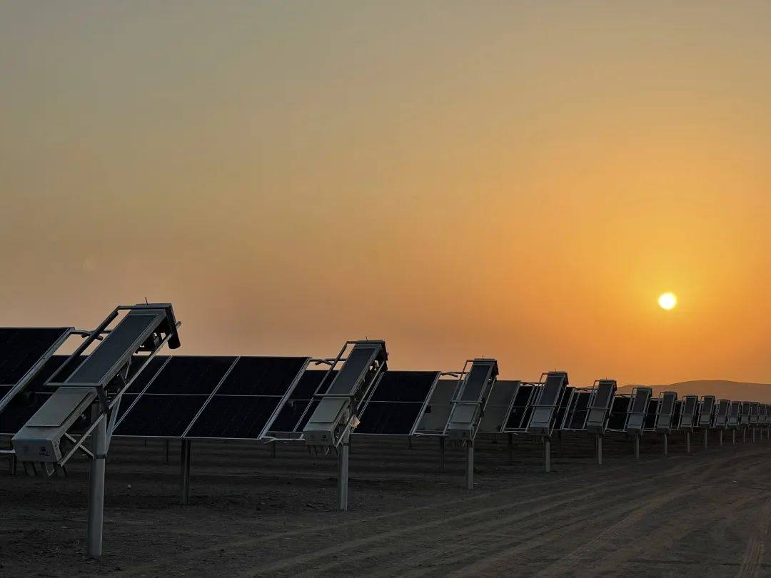 沙特红海新城：隆基绿能406MW组件助力打造100%清洁能源