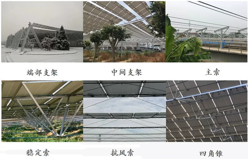光伏柔性光伏支架：大跨度、高净空、长列距